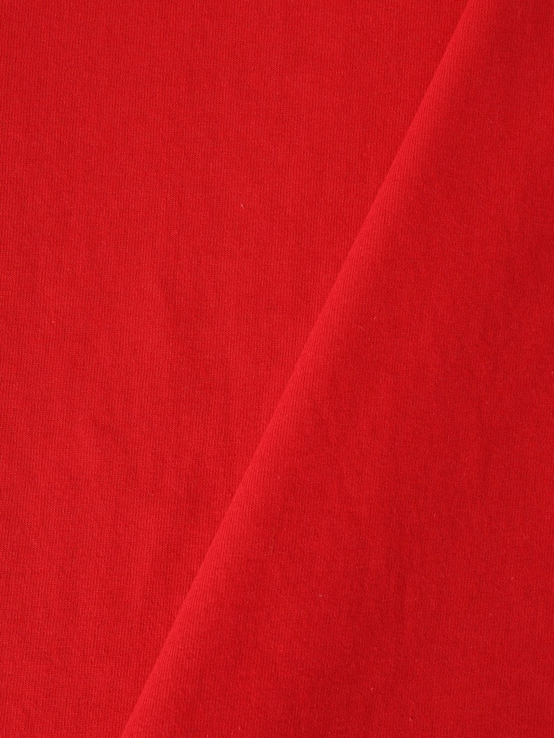 ダブルネームロゴ ティー 詳細画像 red 4