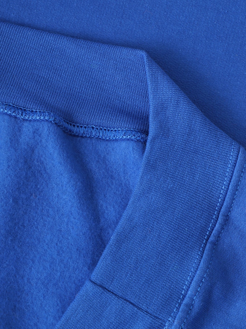 ダブルネームロゴ スウェットフーディー 詳細画像 blue 3