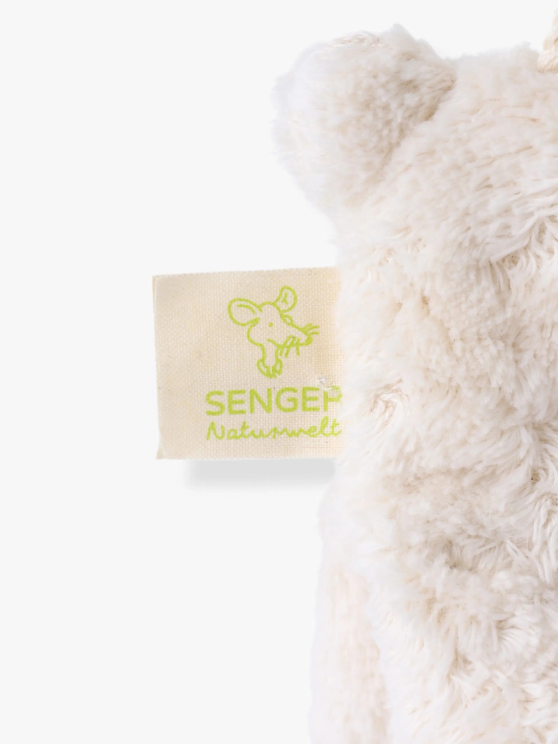 アンティーク　ピーナッツラビット　ドイツ ドイツ ニュルンベルク 1700年 ラムダカット 1ダカット 金貨 NGC