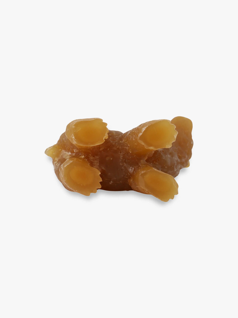 ウルス ベアキャンドル 詳細画像 brown 2