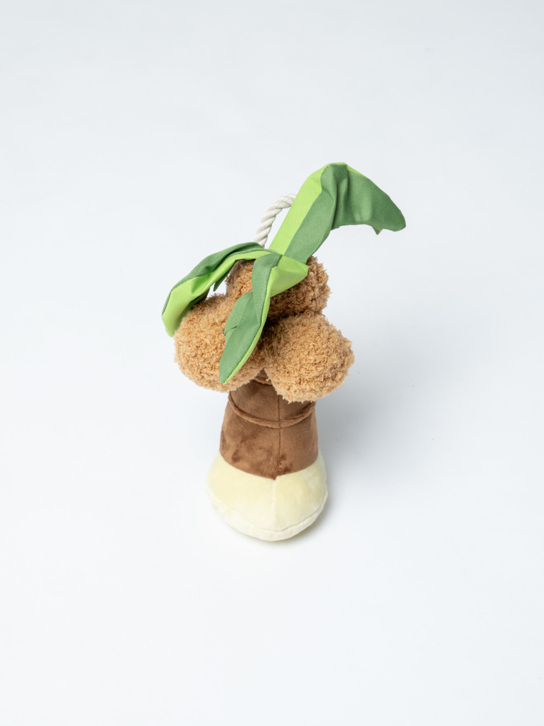 トロピカルパラダイス パピー パーム | ペット 詳細画像 other 1