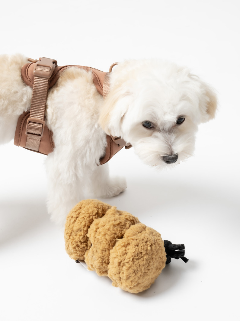 パップカフェ クッキーズ（M） | ペット 詳細画像 other 4