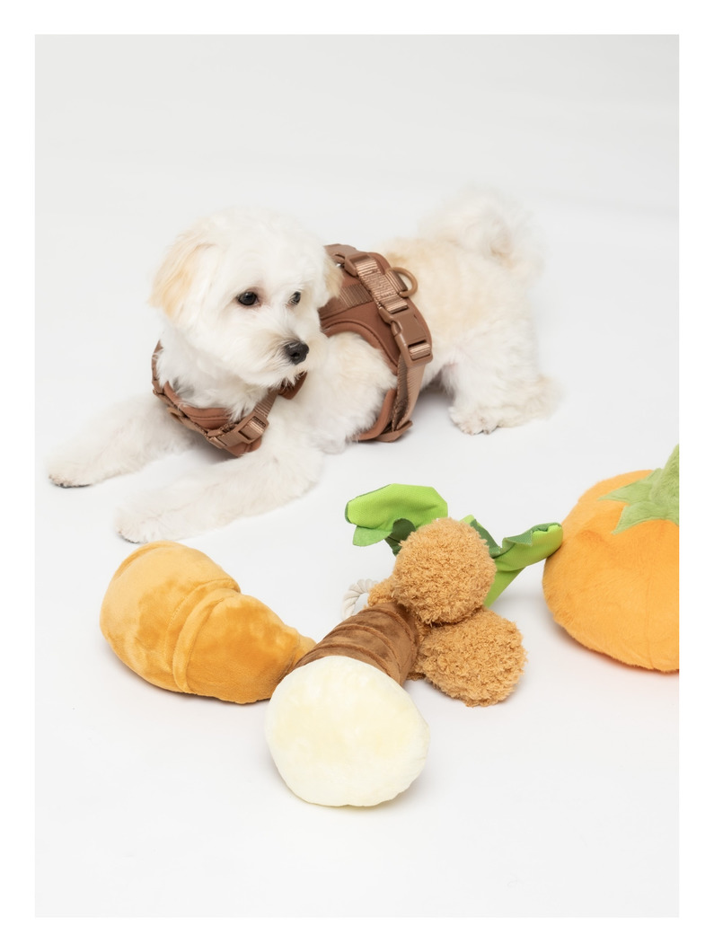 ブランチ パップス ペストリー（L） | ペット 詳細画像 other 3