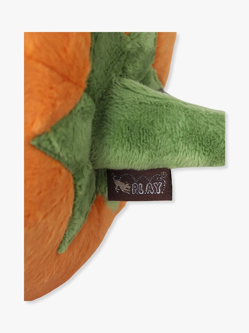 ガーデンフレッシュパンプキン | ペット 詳細画像 other 2