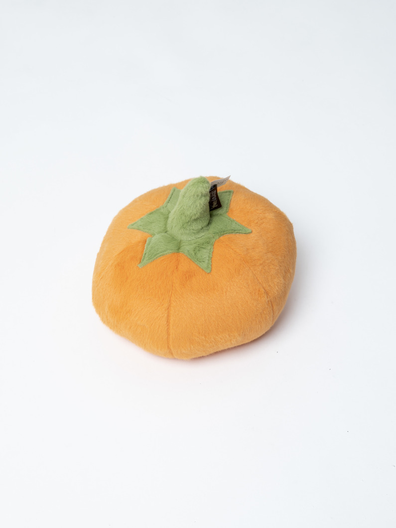 ガーデンフレッシュパンプキン | ペット 詳細画像 other 1