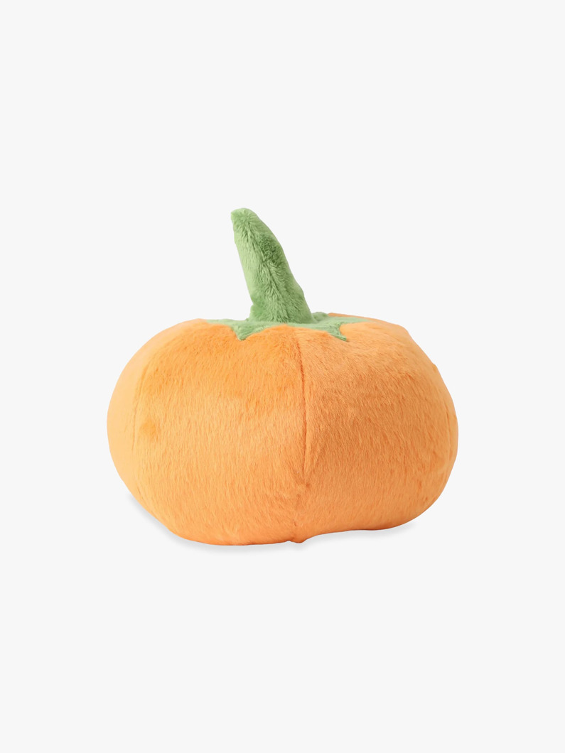 ガーデンフレッシュパンプキン | ペット 詳細画像 other 2