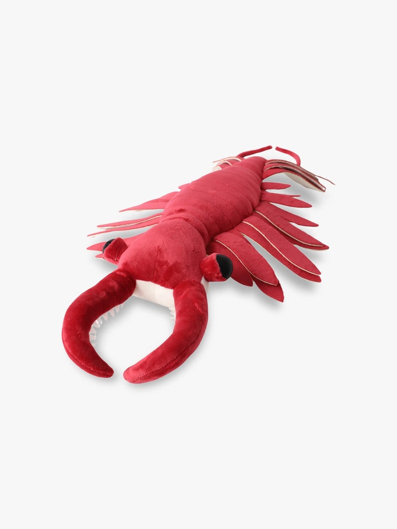 アノマロカリス アースロップ ソフトトイ 詳細画像 other 1