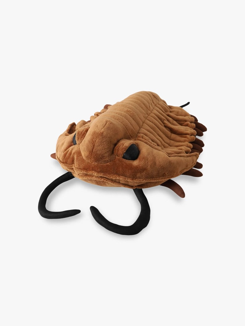 トリロバイト アースロポッド ソフトトイ 詳細画像 other 1