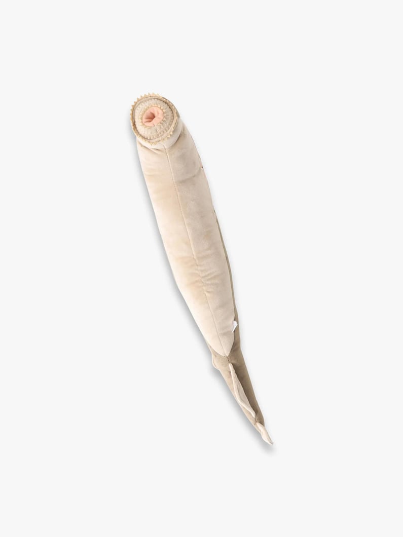 シーランプリー ソフトトイ 詳細画像 other 4