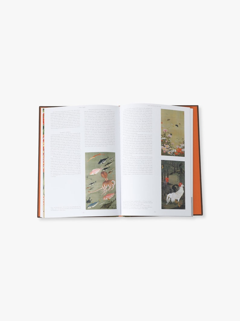 ケヒンデ ワイリー カラフル レルム 詳細画像 other 3