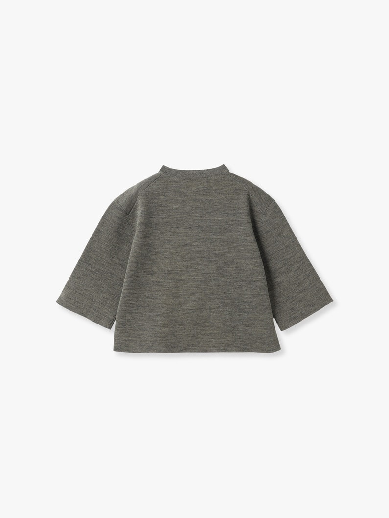 Extra Fine Worsted Melange Double Knit Pullover | ニット 詳細画像 gray 1