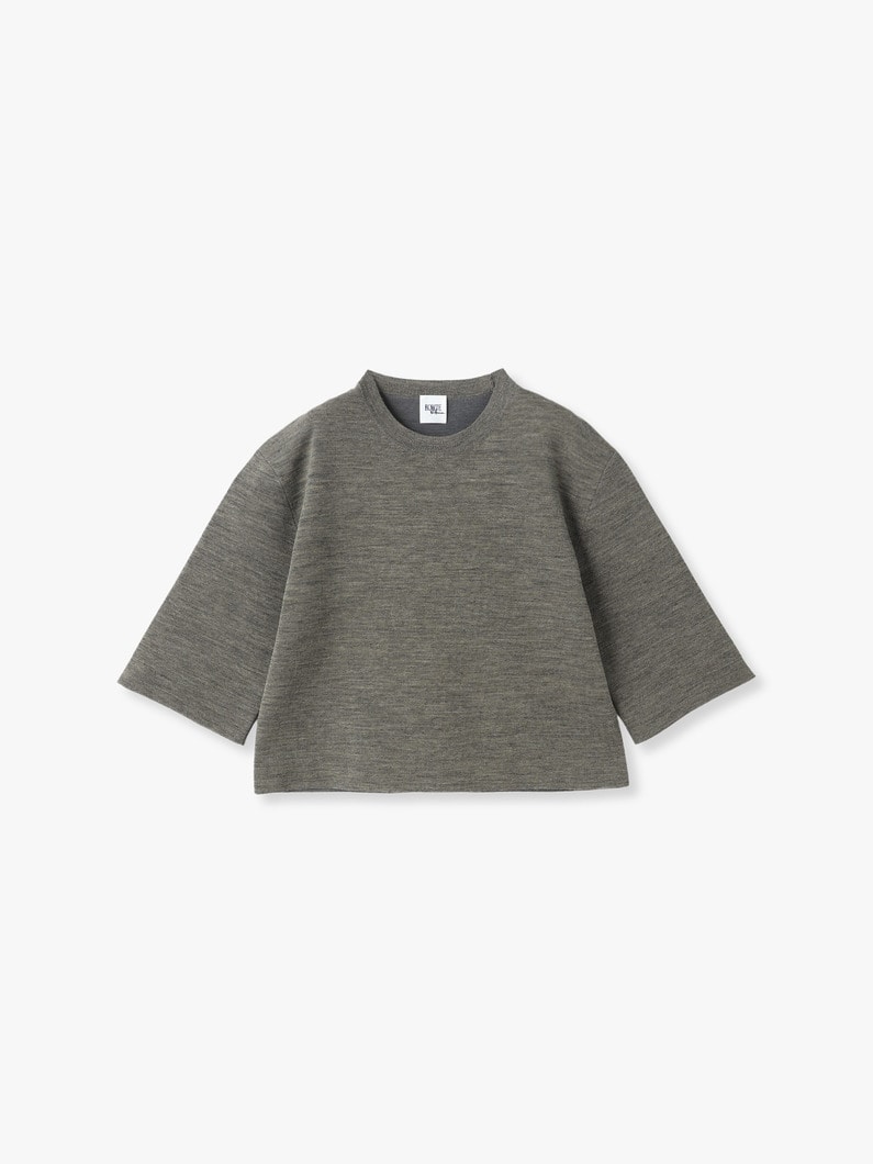 Extra Fine Worsted Melange Double Knit Pullover | ニット 詳細画像 gray 1