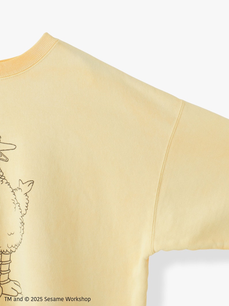 Sesame Street Big Bird Sweat Shirt | スウェット 詳細画像 yellow 2