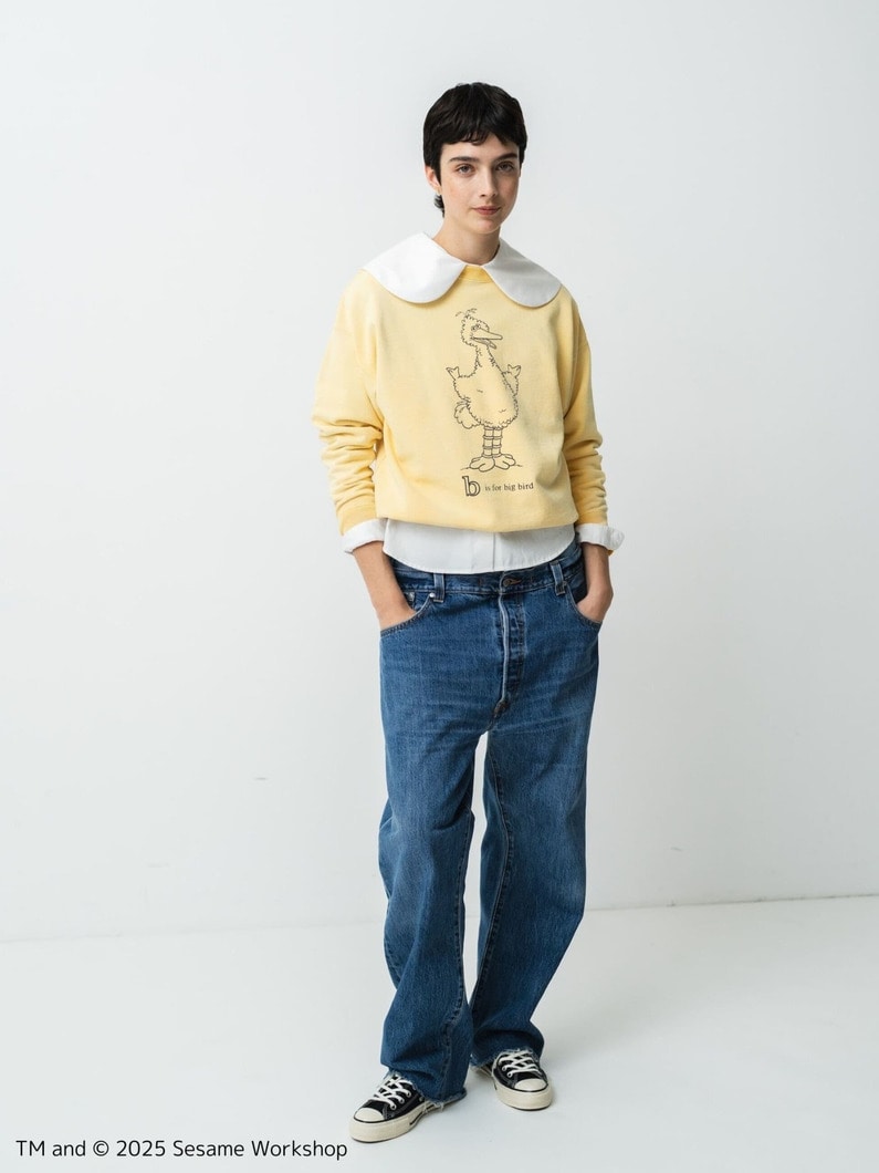 Sesame Street Big Bird Sweat Shirt | スウェット 詳細画像 yellow 1