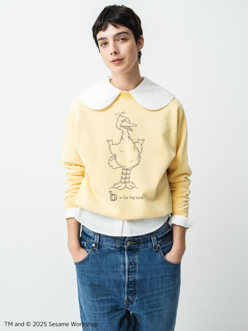 Sesame Street Big Bird Sweat Shirt | スウェット 詳細画像 yellow 2