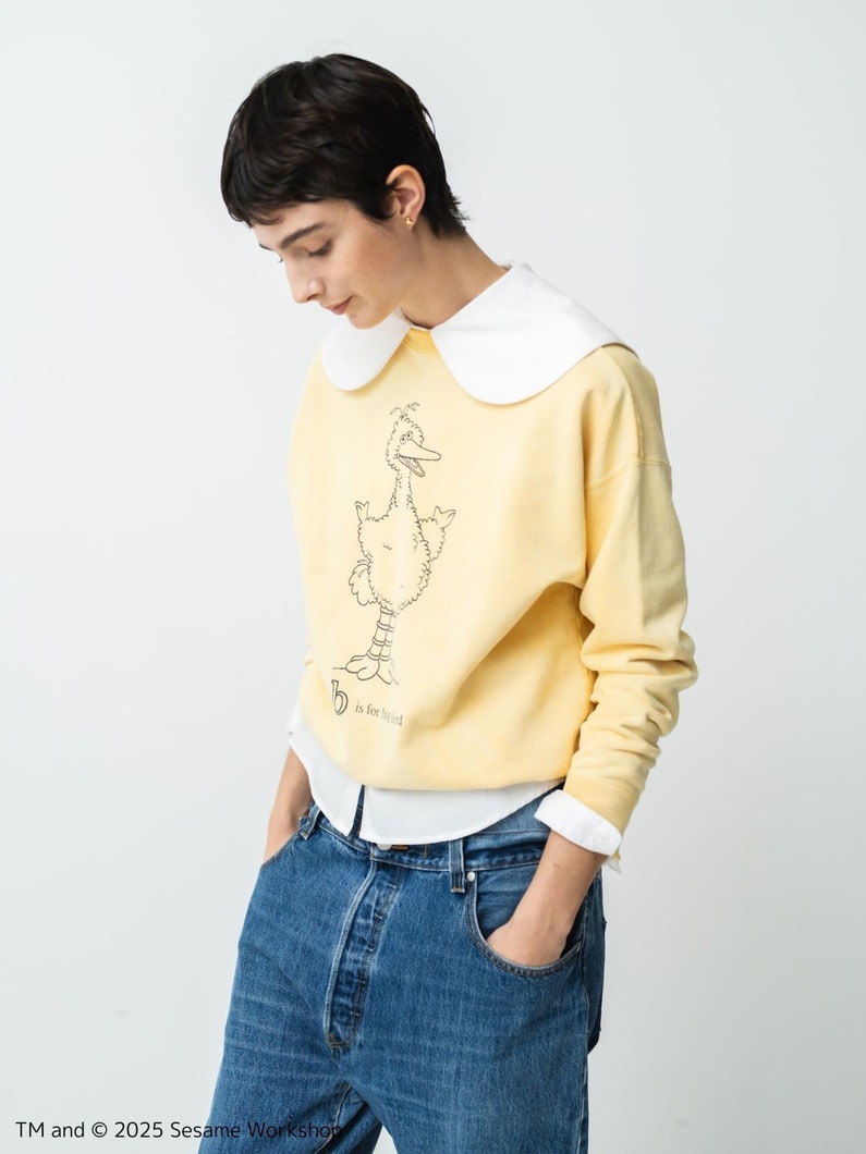 Sesame Street Big Bird Sweat Shirt | スウェット 詳細画像 yellow 3