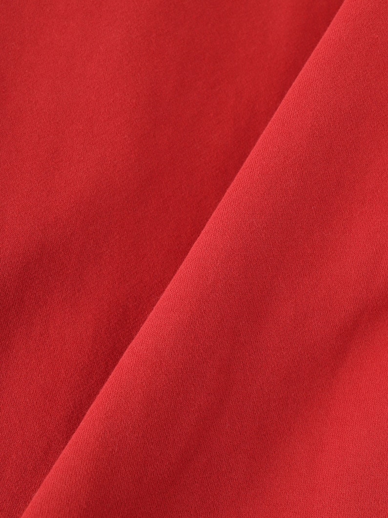 キャンパー ジップフーディー 詳細画像 red 7