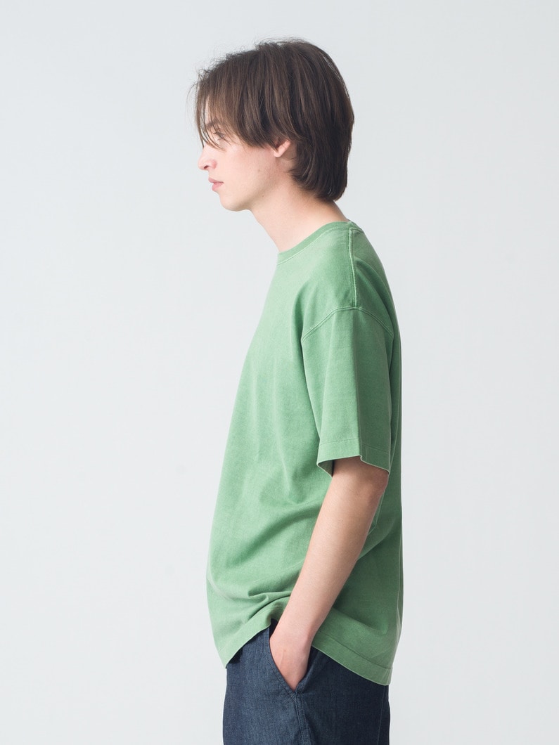 ピグメント ウォッシュ ティー 詳細画像 green 2