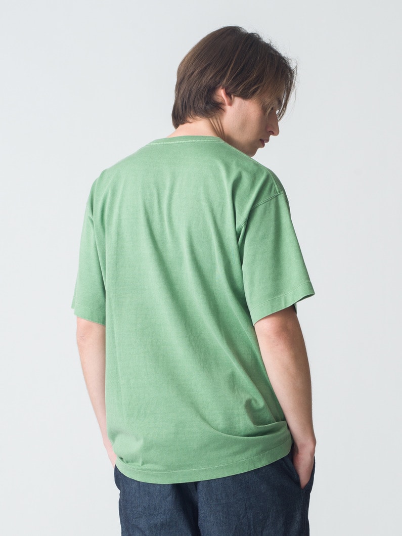 ピグメント ウォッシュ ティー 詳細画像 green 3