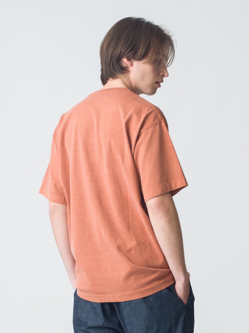 ピグメント ウォッシュ ティー 詳細画像 terracotta 3