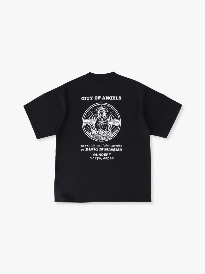 バルバラ パルヴィン ティー 詳細画像 black 1