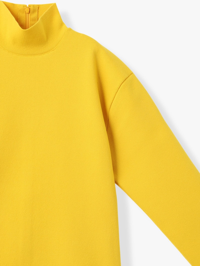 ファイン ウーステッド ウール ミラノリブ ニット タートル トップ 詳細画像 mustard 2
