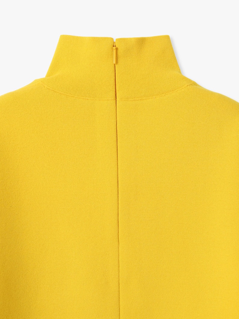 ファイン ウーステッド ウール ミラノリブ ニット タートル トップ 詳細画像 mustard 3