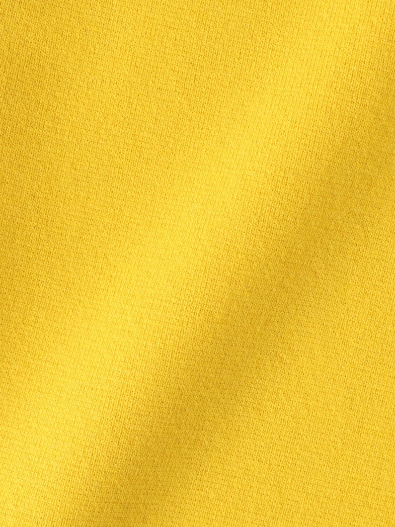 ファイン ウーステッド ウール ミラノリブ ニット タートル トップ 詳細画像 mustard 4