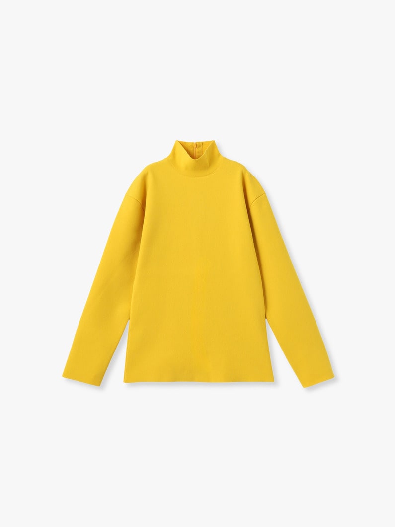 ファイン ウーステッド ウール ミラノリブ ニット タートル トップ 詳細画像 mustard 1