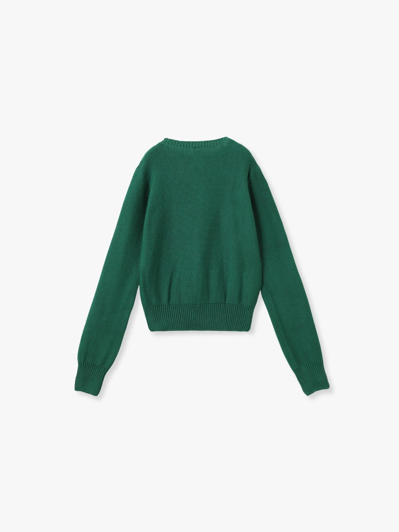 ティア カーディガン 詳細画像 green 1