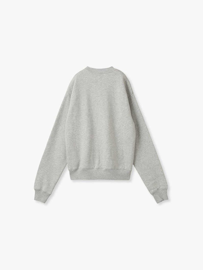 USA ウェルネスクラブ クルーネック スウェットプルオーバー 詳細画像 gray 1