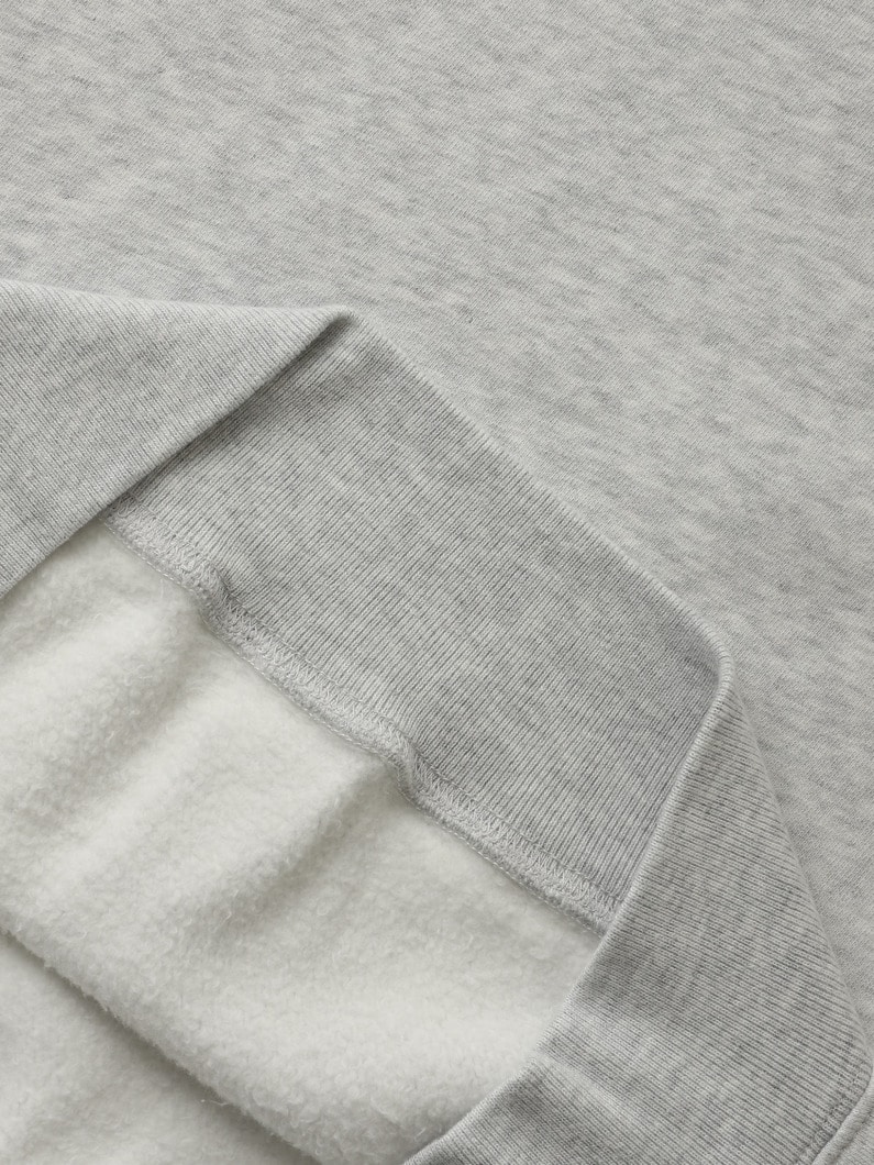 USA ウェルネスクラブ クルーネック スウェットプルオーバー 詳細画像 gray 3