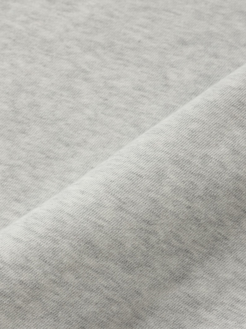 USA ウェルネスクラブ クルーネック スウェットプルオーバー 詳細画像 gray 4