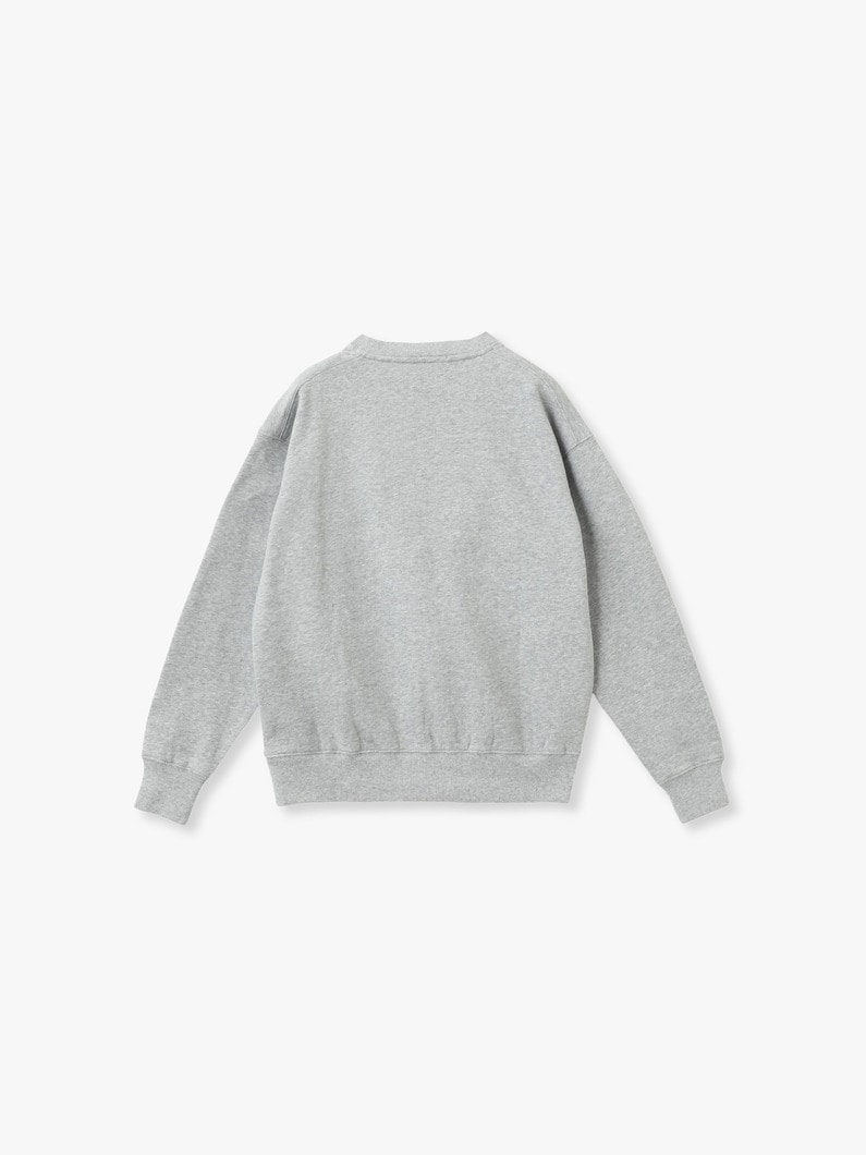 レトロロゴ スウェット プルオーバー 詳細画像 gray 1