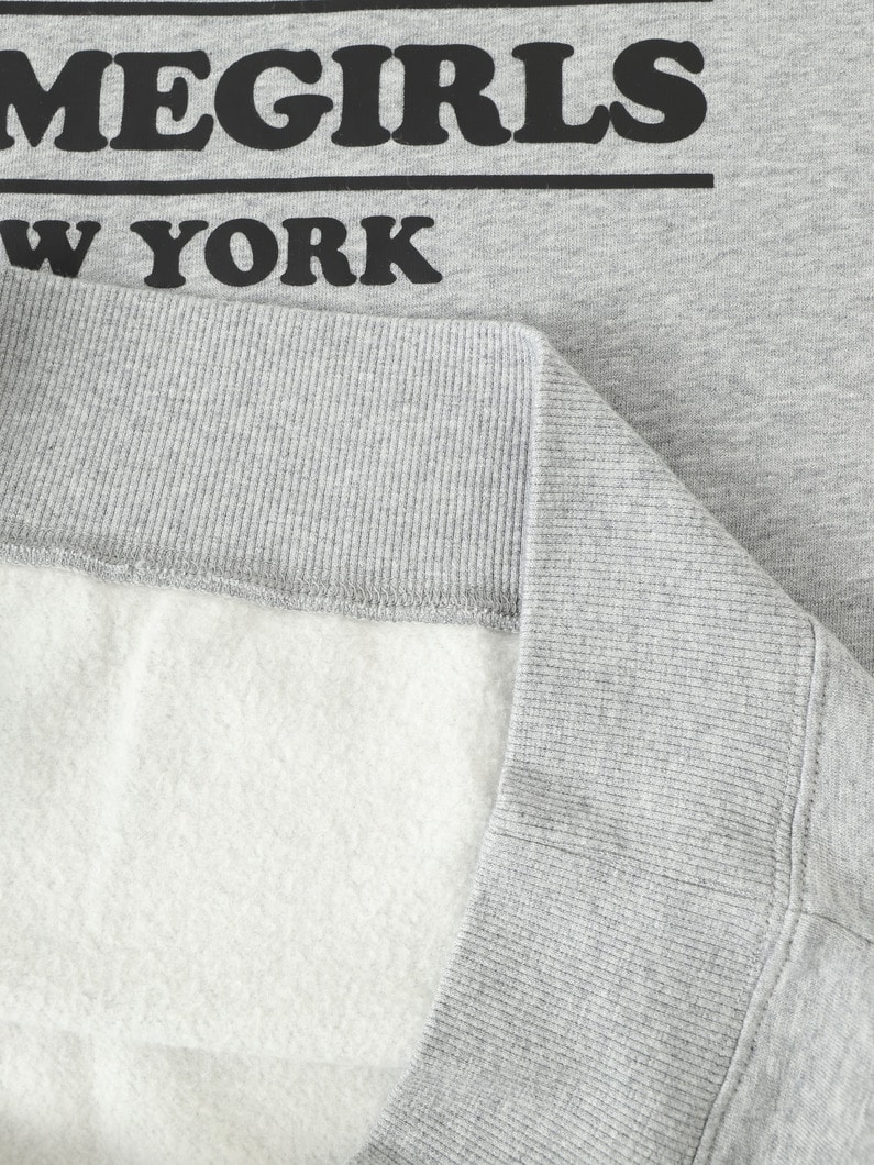 レトロロゴ スウェット プルオーバー 詳細画像 gray 3