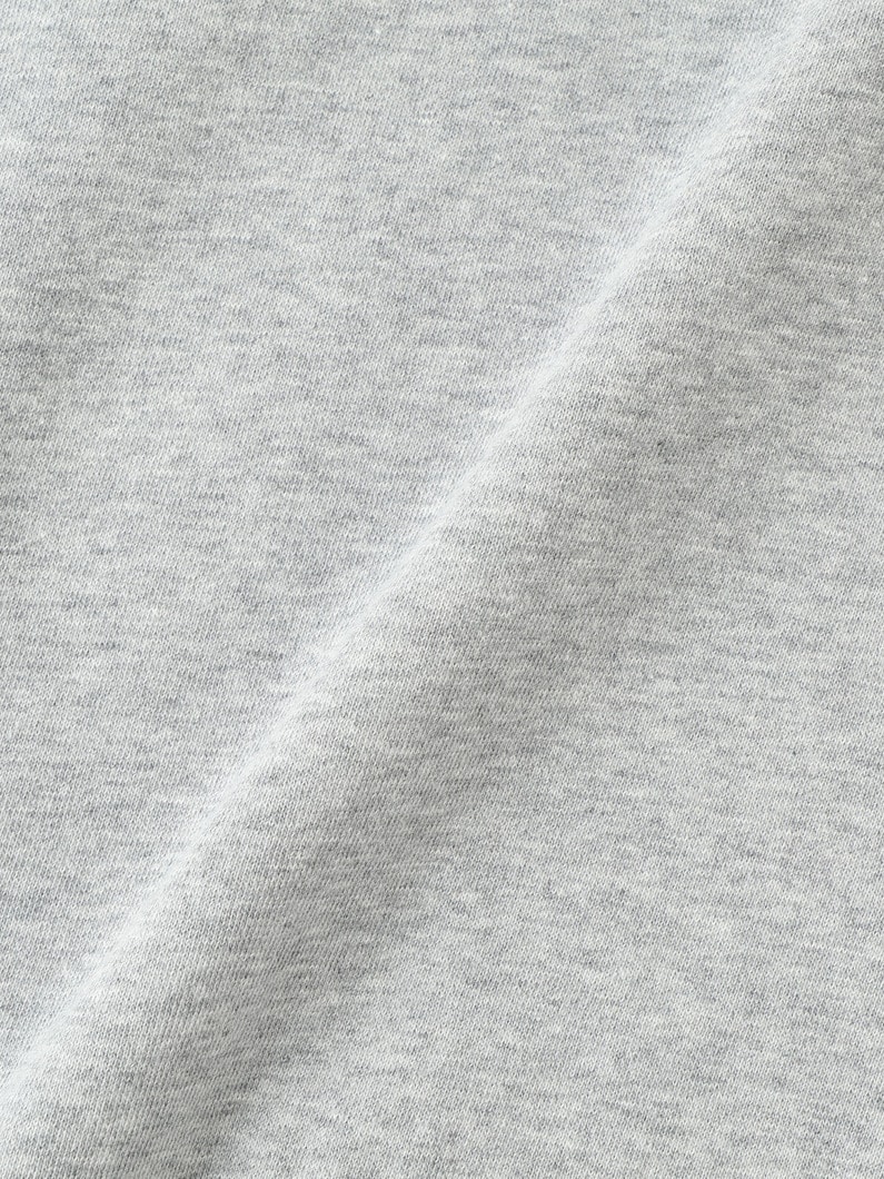 レトロロゴ スウェット プルオーバー 詳細画像 gray 4