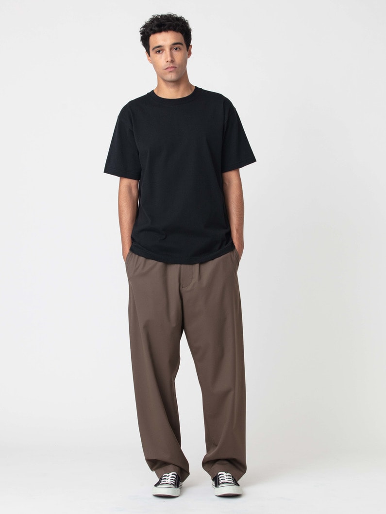 ウーリーツイル パンツ 詳細画像 brown 2