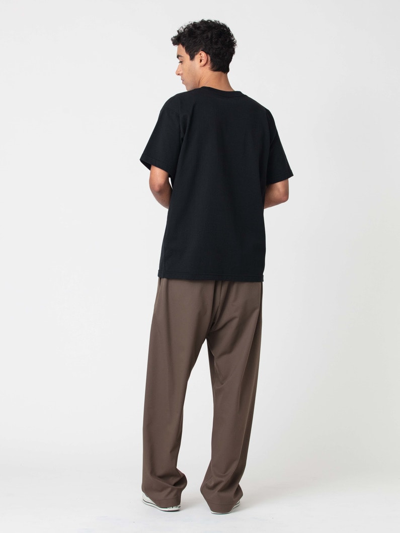 ウーリーツイル パンツ 詳細画像 brown 3