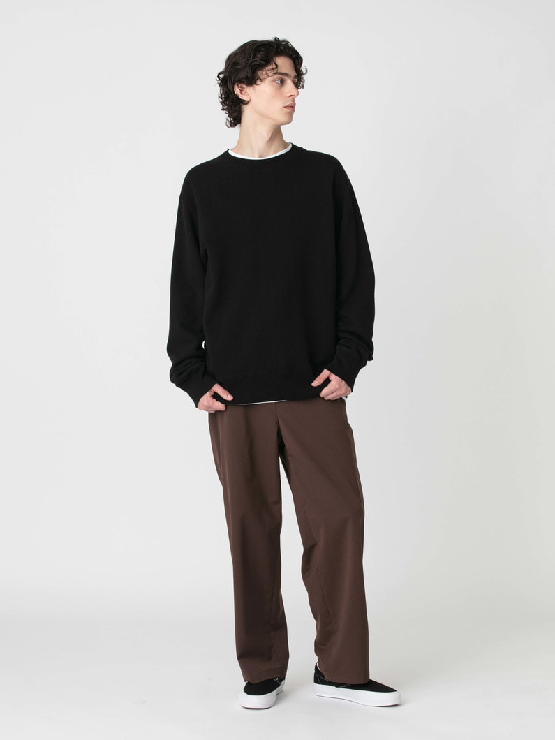 フレックス ウール パンツ 詳細画像 brown 2
