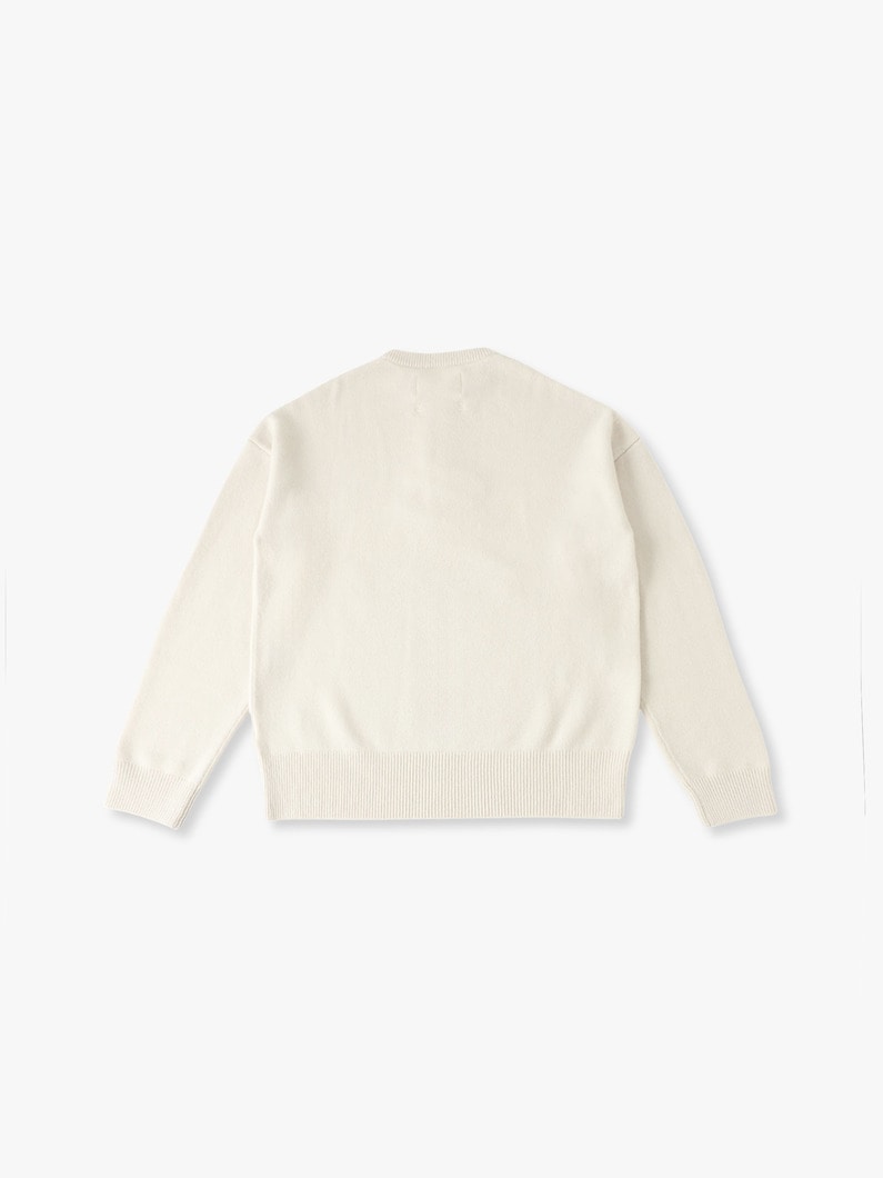 ライク ハーフジップ ニットプルオーバー 詳細画像 ivory 1