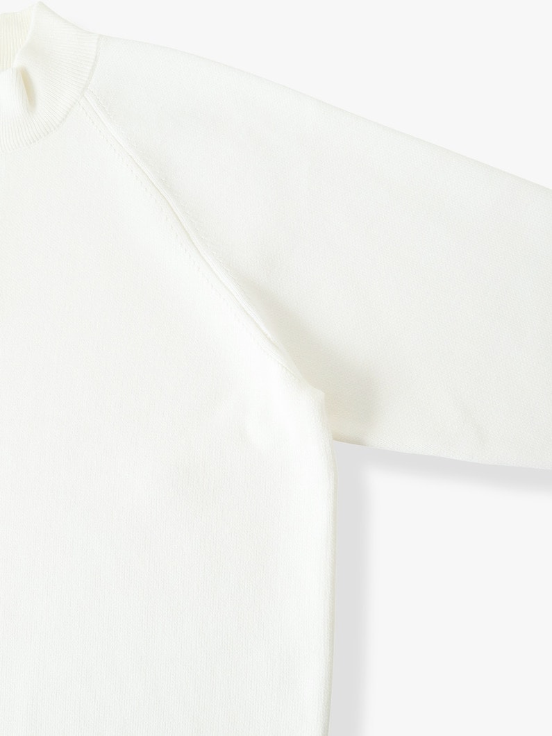 ブラッシュドコットン ハーフジップ プルオーバー 詳細画像 ivory 2