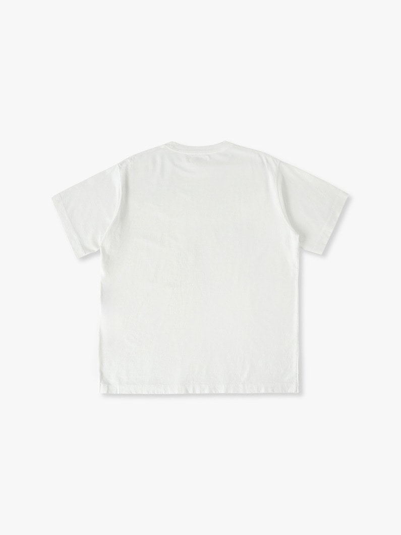 ダメージ ティー 詳細画像 light gray 1