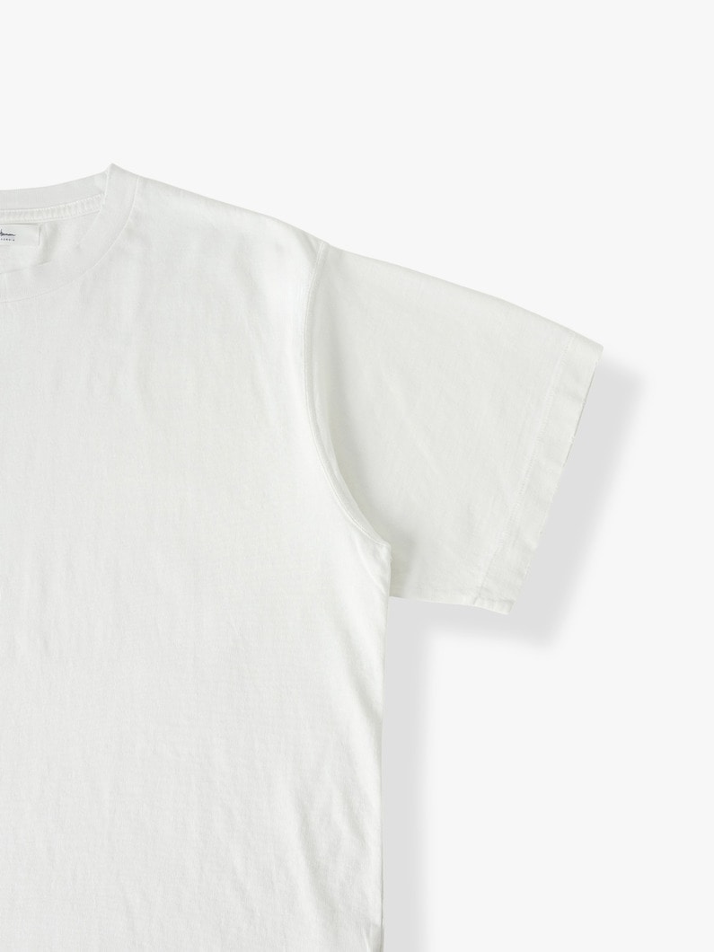 ダメージ ティー 詳細画像 light gray 2