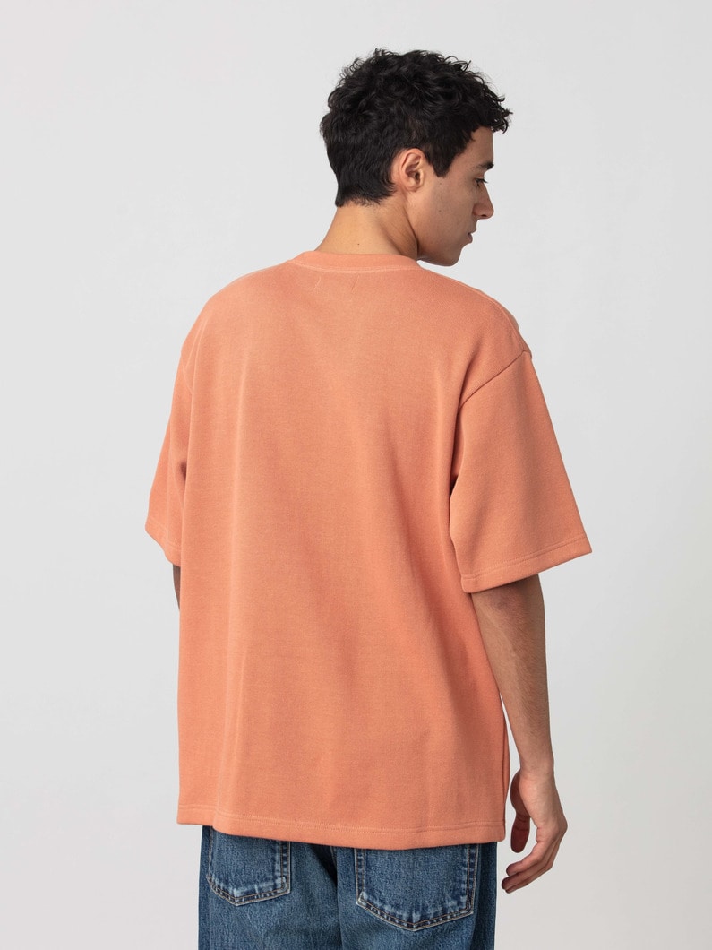 Vシック ティー 詳細画像 terracotta 2