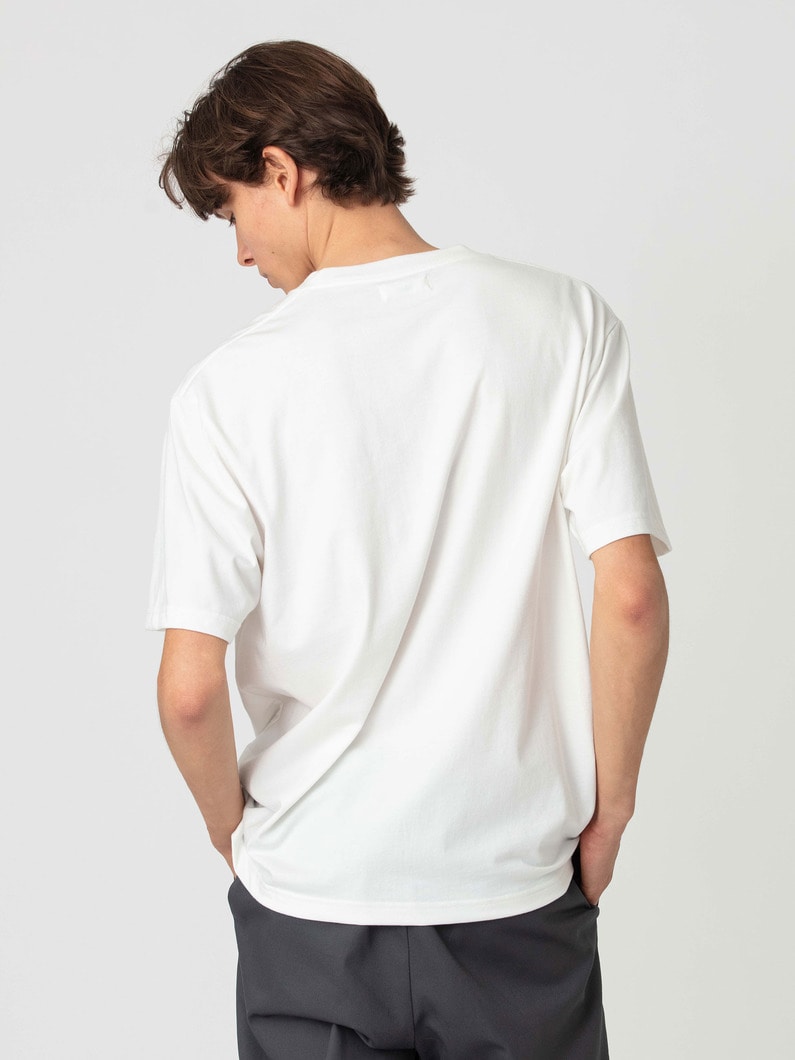 サンタモニカ HWY ティー 詳細画像 off white 2