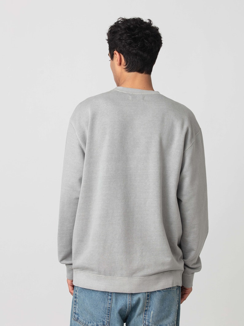 ユーズド スウェットプルオーバー 詳細画像 gray 2