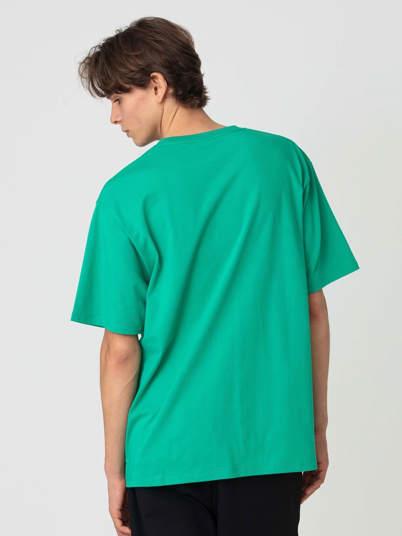 プレーンステッチ ロゴ ティー 詳細画像 green 2