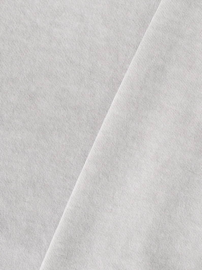 EDST ピグメントダイ スコットハワイ ティー 詳細画像 gray 4