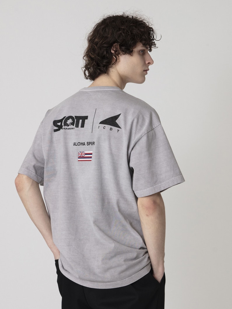 EDST ピグメントダイ スコットハワイ ティー 詳細画像 gray 2
