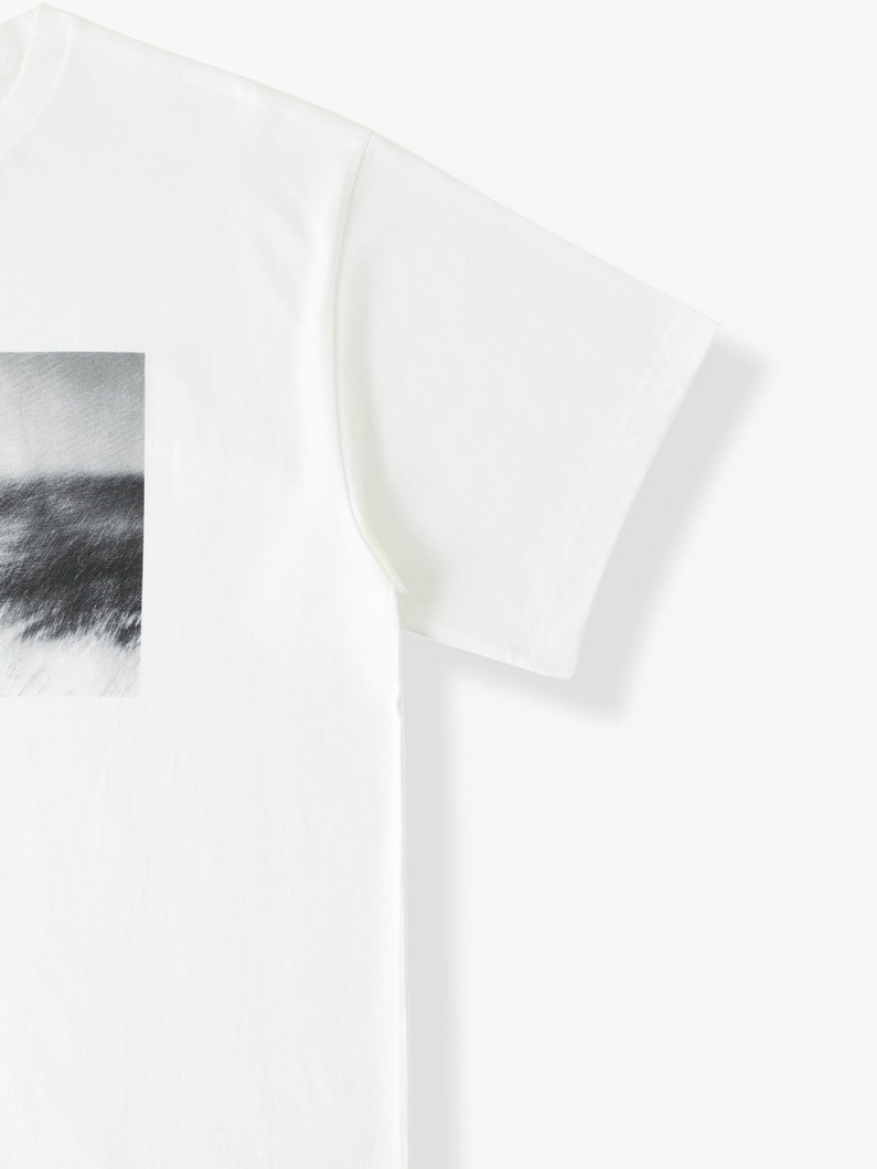 フォトティー（Couldn&rsquo;t go to Heaven） 詳細画像 white 2
